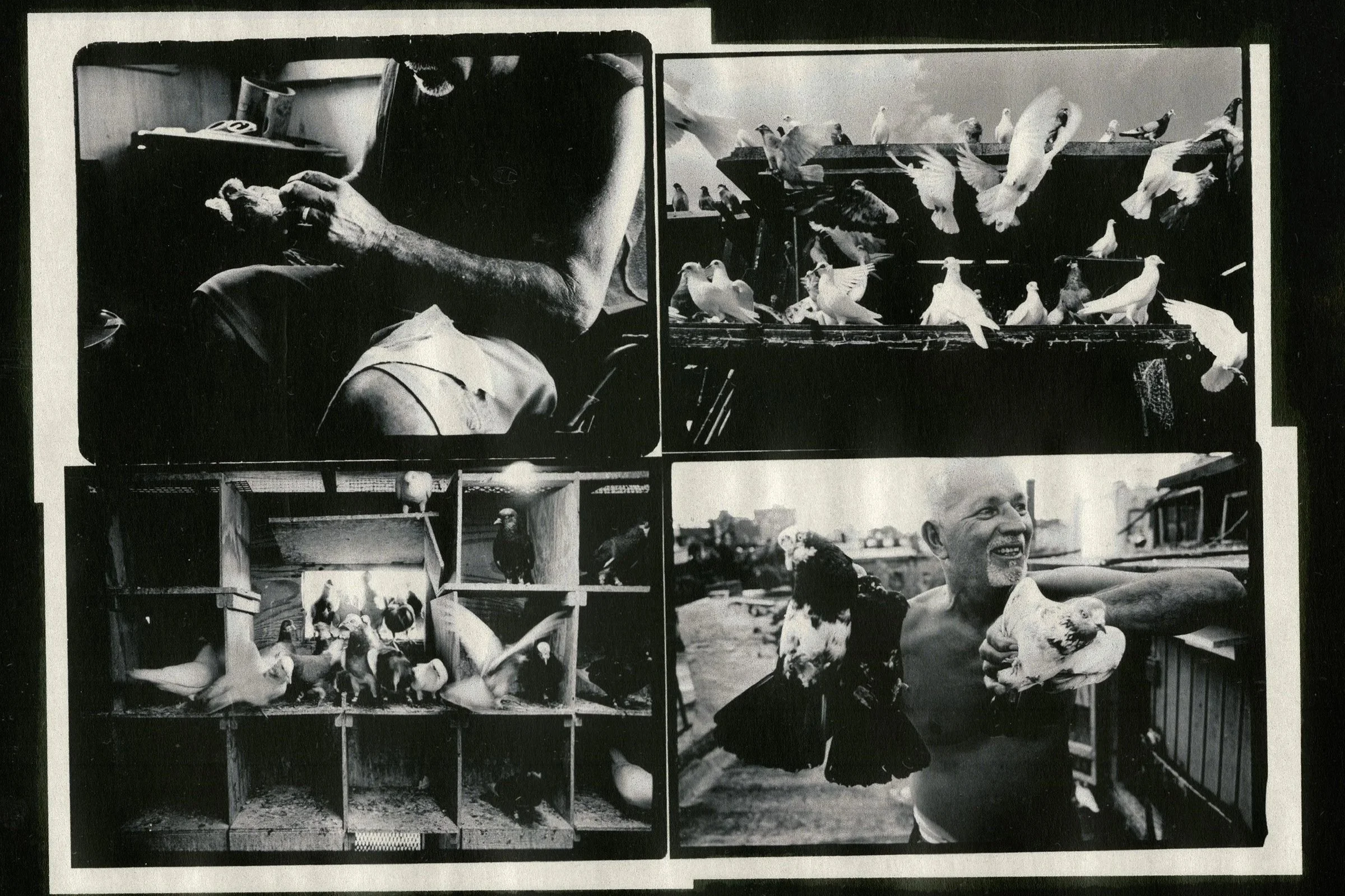 Exhibitions | Discover Art Now — Attend Exhibitions — Contact Photo